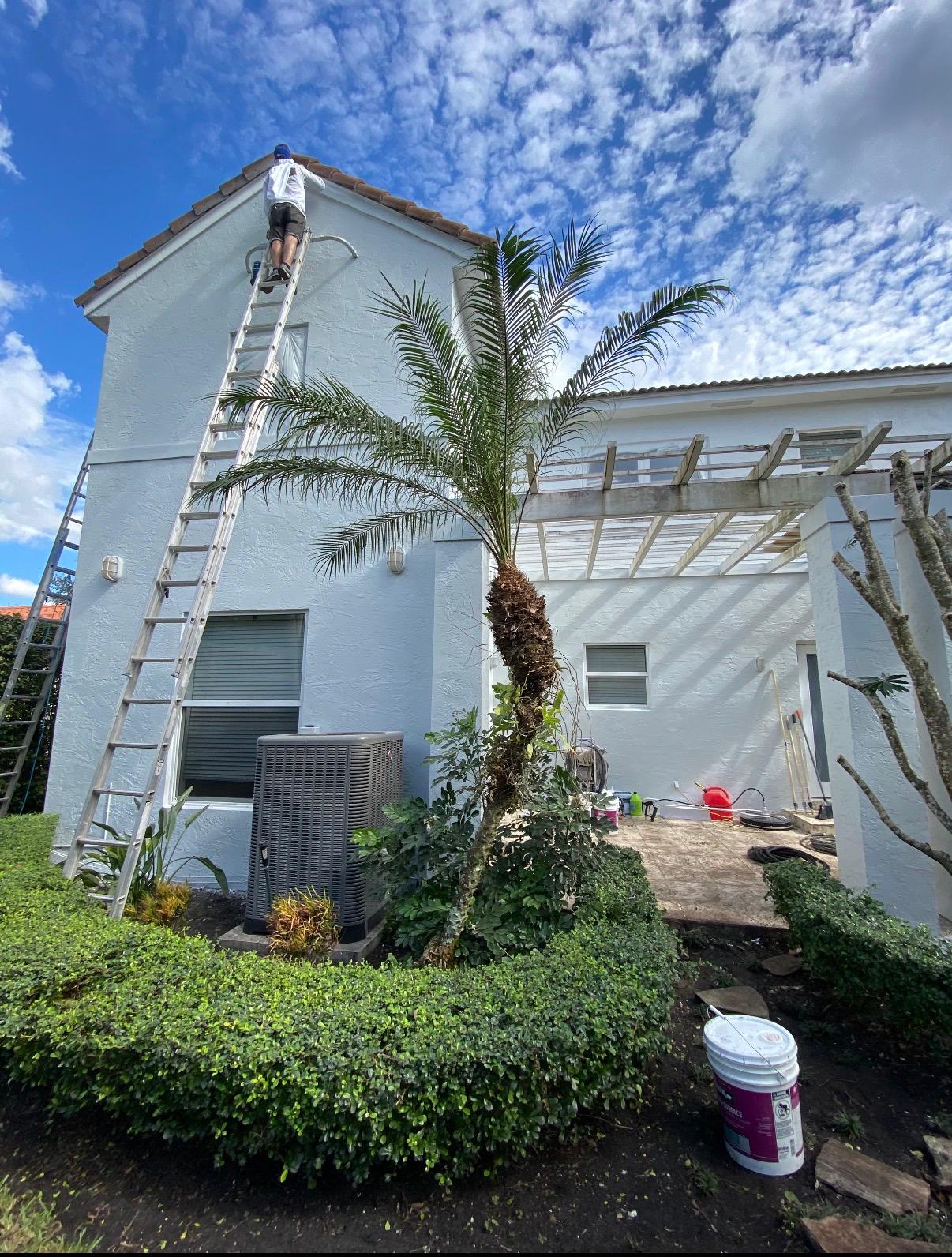 MJL Painting Project 16