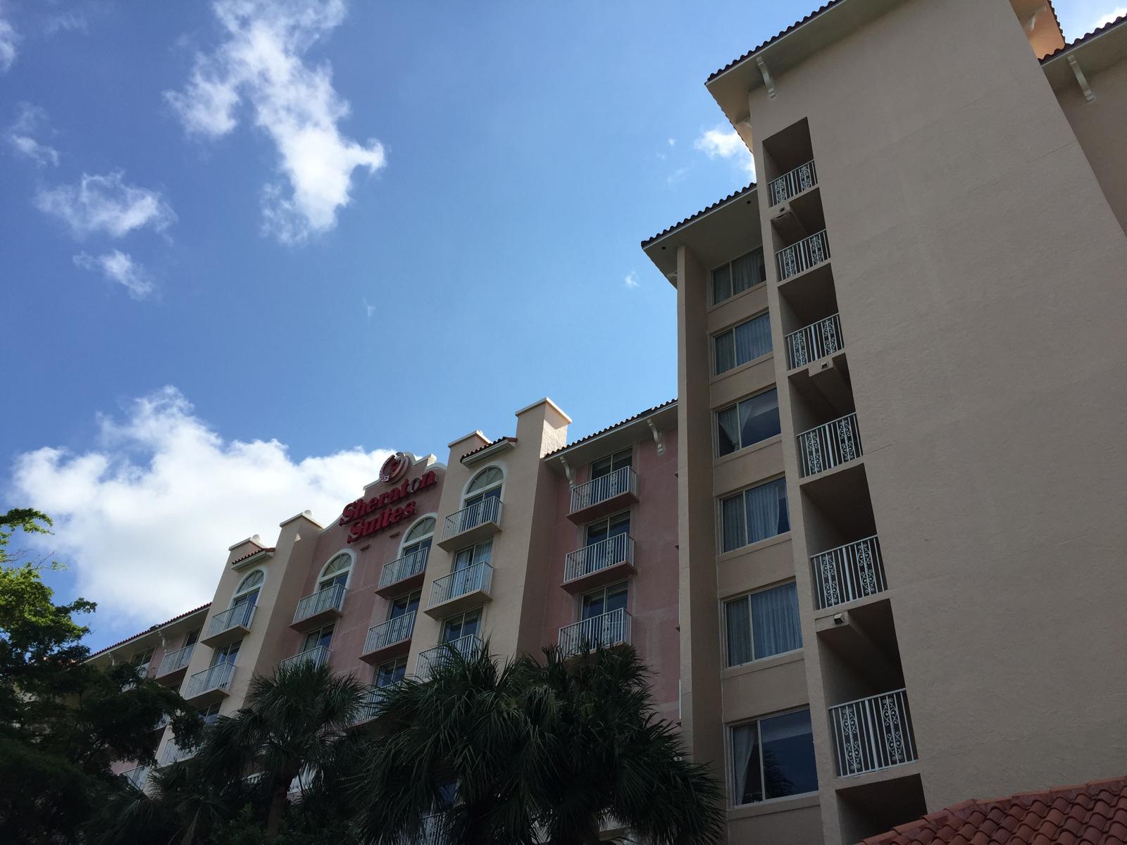 MJL Painting Project 24