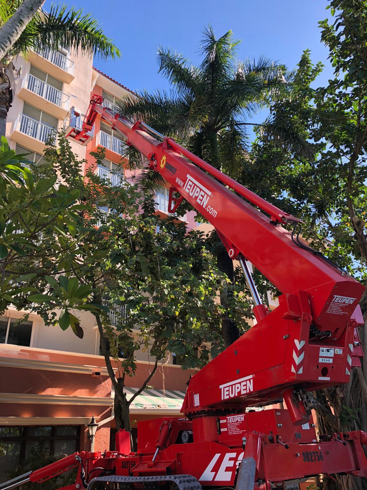 MJL Painting Project 28